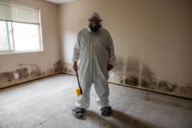Best White Mold Remediation in Roebling, NJ